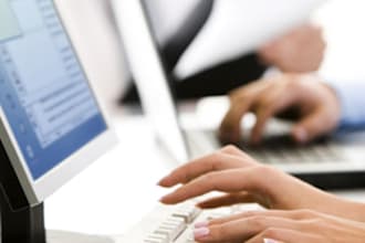 copy/paste/research a list of 300 items to excel format