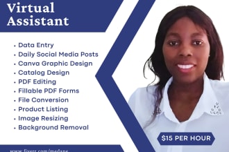 be your virtual assistant for data entry, pdfs, catalogs, and canva designs