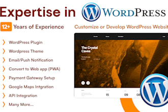 customize and develop wordpress website, wordpress plugin, theme, template