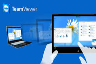 provide IT support through team viewer
