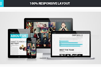 give you access to wordpress theme
