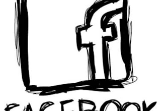 show You How To Launch An Online Millions Dollars Fundraising Campaign For Free Using Only A Blog And A Facebook Page