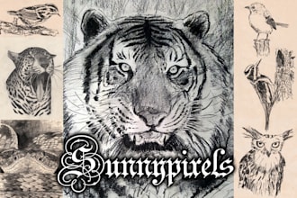 sketch and draw wildlife animals in pencils and inks