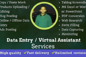 do data entry or work as your virtual assistant