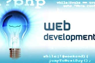 do any kind of PHP/Jquery/Html/Css for 30min