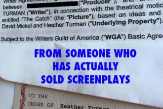 offer incomparable notes on your screenplay