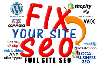 fix website SEO pro check