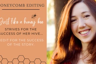critique your story synopsis or book blurb