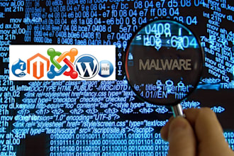 cleanup malware and malware code in your web site and secure