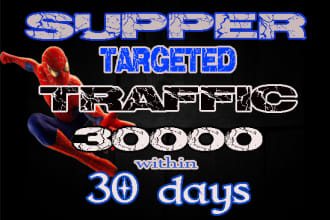 provide fast super targeted,genuine traffic,daily visitors