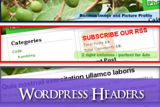 create a nice wordpress header design