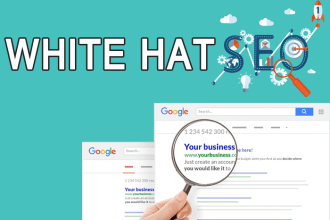 do onpage off page monthly SEO service on wordpress website