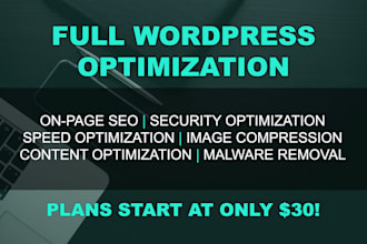 optimize the speed, security, and SEO of wordpress