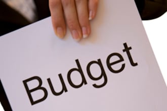 send you a lessen about budget development