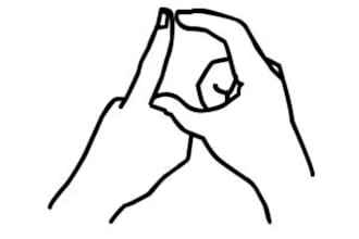 teach you Sign Language