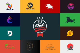 design,redesign, modify, recreate,edit logo or any graphics