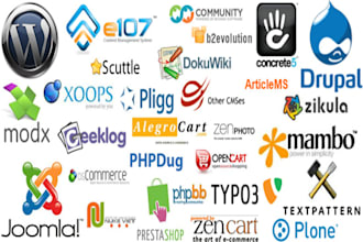install any type of script