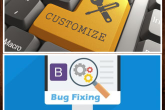 customize,make changes , fix bugs and issues in your website