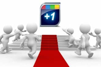 provide 500 Genuine Google Plus +1 Followers