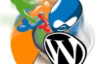 do any wordpress, joomla work