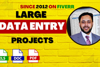 do all types of large data entry work