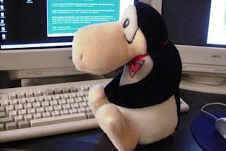 write an ORIGINAL blog article