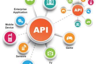integrate any api in php site,api integration in wordpress