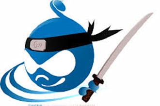 design and develop stunning drupal website