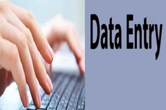 do data entry, excel data entry, copy paste and web research