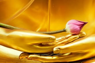 shamanic healing soul retreival power