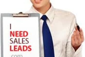 provide up to 500 targeted local business leads