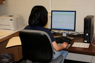 do 2 hours dedicated data entry, data scraping,wordpress posting, joomla posting, web entry, data migration and posting job only