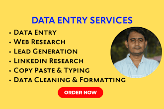 do data entry, web research, copy paste, excel data entry and typing