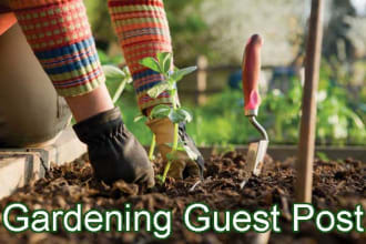 publish your guest post on home and gardening blog