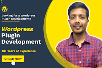 develop custom wordpress plugin