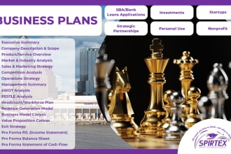 prepare a professional business plan