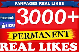 add 1000 likes to your fanpage all real people who will interact on your page