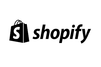 make premium shopify online store website