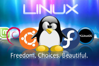 help you in on any linux and unix server tasks