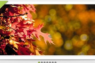 create an attractive JQuery image sliders/slideshow for your web site
