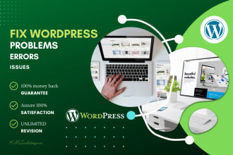 fix your wordpress website errors, issues, problems