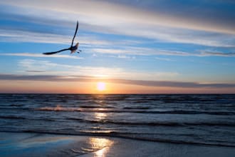 send a postcard from Latvia to anywhere in the world