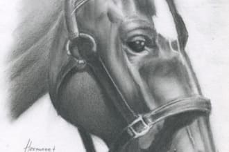 draw a portrait of you