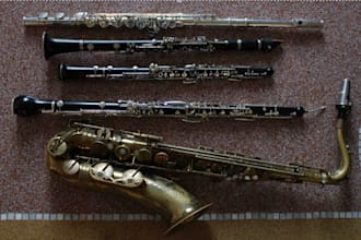 record a woodwind part on your song