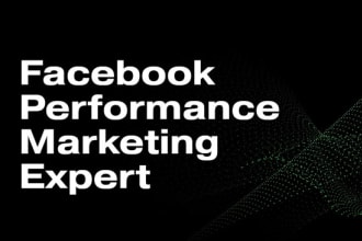 manage facebook performance marketing campaigns