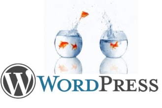 move wordpress site to new hosting