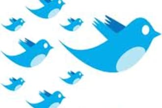 tweet your message link website anything to my 30,000 twitter followers