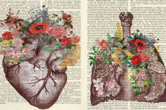 draw super awesome anatomy drawing and medical illustrations