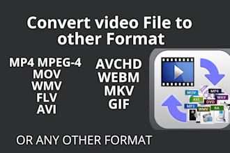 convert video to any other video format