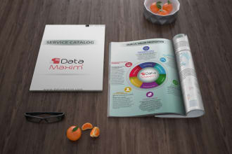 do custom business infographics,24 hrs